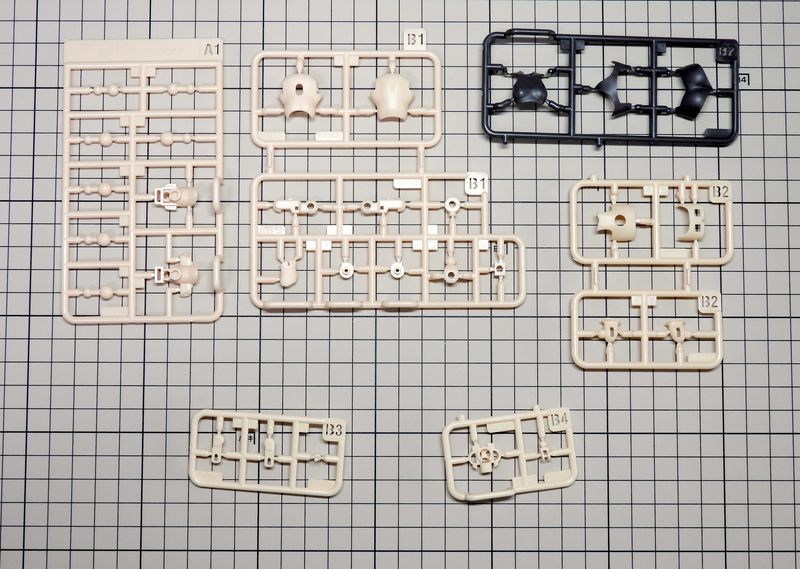 プニモフクロマオランナー01