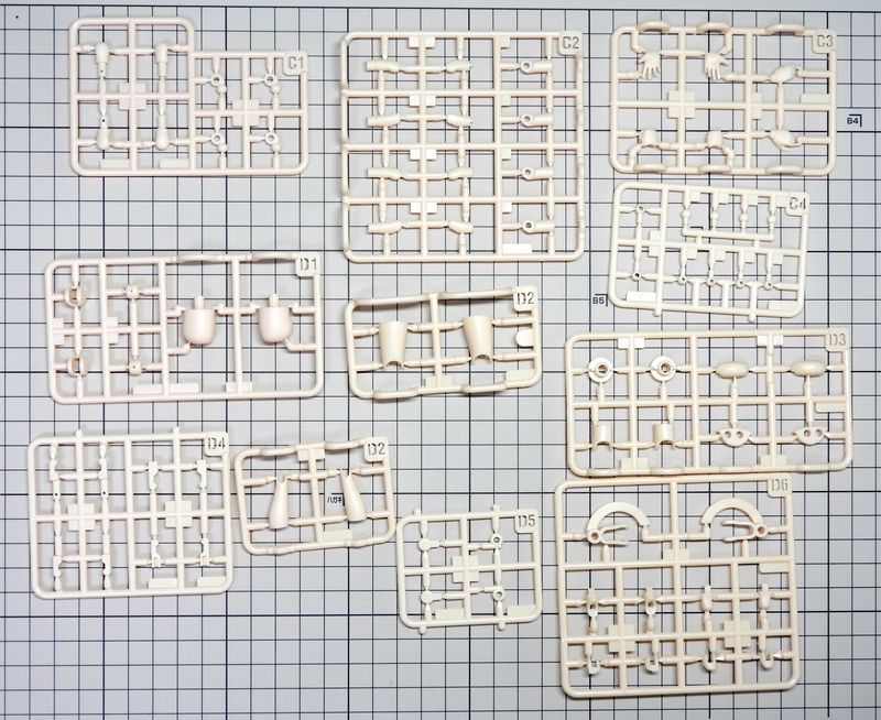 プニモフクロマオランナー02