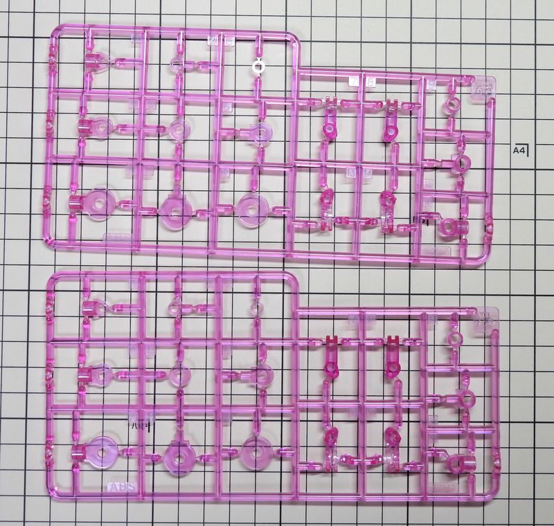 プニモフクロマオランナー03