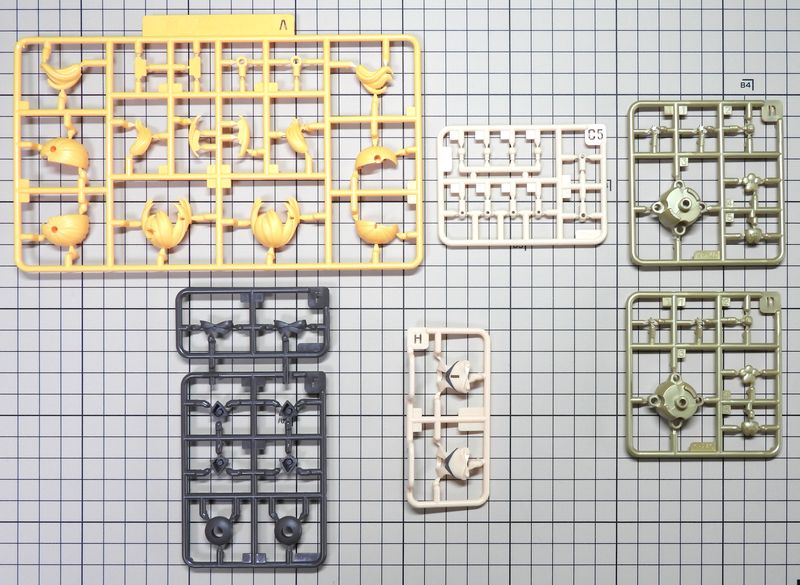 プニモフクロマオランナー04