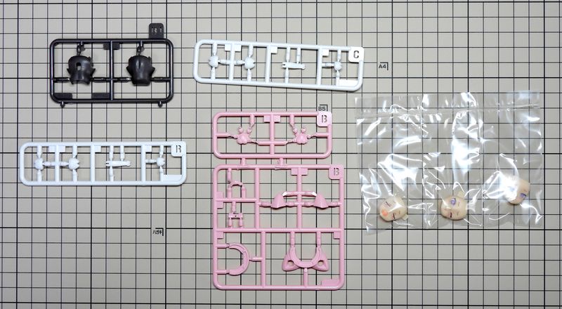 プニモフクロマオランナー07